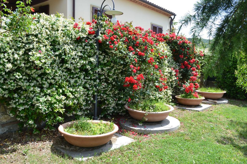 Agriturismo La Ghiraia Санта-Луче Екстер'єр фото